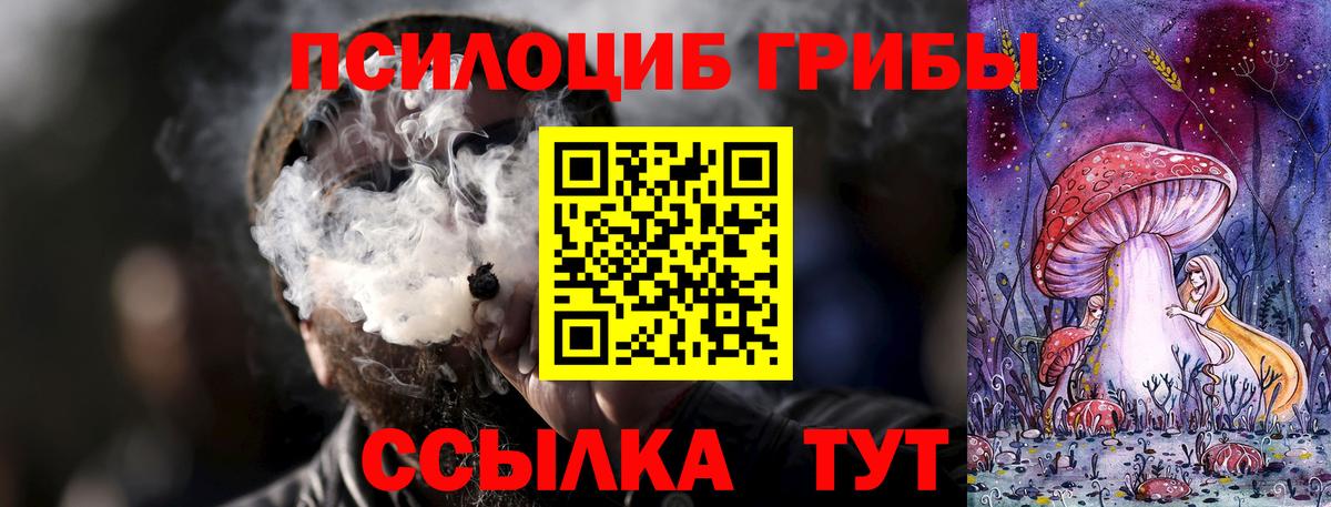 Псилоцибиновые грибы MAGIC MUSHROOMS  Вход с VPN  Богородицк 