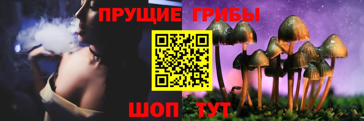 Галлюциногенные грибы GOLDEN TEACHER Богородицк